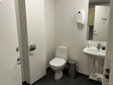 WC og dusjnisje
