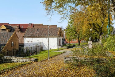 Like bak Bryggen finner du rolige, grønne uteområder omgitt av historisk bebyggelse.