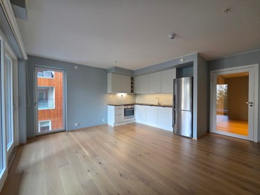Stue/kjøkken